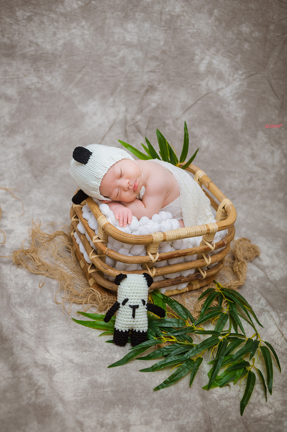 album ảnh newborn 23